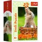 TREFL Puzle 54 Jauki dzīvnieki cena un informācija | Puzles, 3D puzles | 220.lv