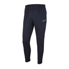 Спортивные штаны для детей RY ACADEMY AJ9291 Nike цена и информация | Штаны для мальчиков | 220.lv