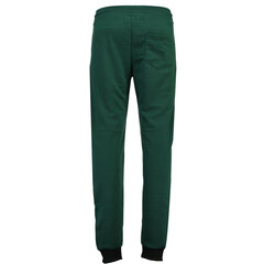 Спортивные брюки для мальчиков Geographical Norway Moton, зеленые цена и информация | Штаны для мальчиков | 220.lv