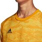 Džemperis zēniem Adidas AdiPro 19 GK Jr DP3140, 47124 cena un informācija | Zēnu jakas, džemperi, žaketes, vestes | 220.lv