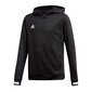 Džemperis zēniem Adidas Team 19 Hoody JR DW6871, melns cena un informācija | Zēnu jakas, džemperi, žaketes, vestes | 220.lv