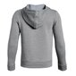 Džemperis bērniem Under Armor Cotton Fleece Full Zip JR 1343677-035, pelēka цена и информация | Zēnu jakas, džemperi, žaketes, vestes | 220.lv