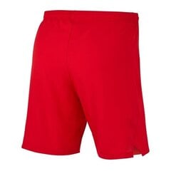 Спортивные шорты для мужчин Nike Laser Woven IV Short цена и информация | Мужская спортивная одежда | 220.lv