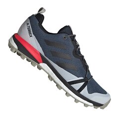 Adidas Terrex Skychaser LT GTX M EF2159 туристические ботинки (52461) цена и информация | Кроссовки для мужчин | 220.lv