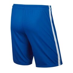 Спортивные шорты для мальчиков Nike JR League Knit JR 725990-463 (49433) цена и информация | Шорты для мальчиков | 220.lv