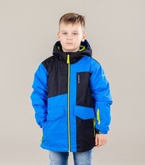 Детская куртка Icepeak Lowden 50065-6*350, синий/тёмно-синий 6438488796421, 180 г цена и информация | Зимняя одежда для детей | 220.lv