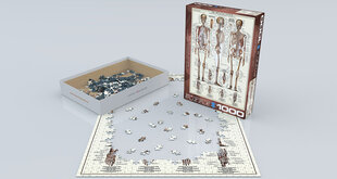 Puzle Eurographics, 6000-3970, The Skeletal System, 1000 gab. cena un informācija | Puzles, 3D puzles | 220.lv