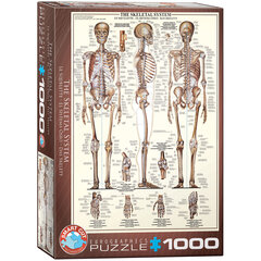 Puzle Eurographics, 6000-3970, The Skeletal System, 1000 gab. cena un informācija | Puzles, 3D puzles | 220.lv