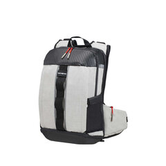 Samsonite 2WM Laptop Rucksack 15.6" цена и информация | Рюкзаки, сумки, чехлы для компьютеров | 220.lv