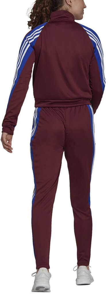 Adidas Sporta Tērpi W Teamsports Ts Burgundy H24122/XS cena un informācija | Sporta apģērbs sievietēm | 220.lv