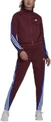 Cпортивный костюм Adidas W Teamsports Ts Burgundy H24122/XS цена и информация | Спортивная одежда для женщин | 220.lv