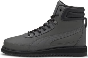 Мужские кеды Puma Desierto v2 Grey 373025 04/10.5 цена и информация | Кроссовки для мужчин | 220.lv