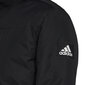 Adidas Jakas Hooded Parka Black GT1699 цена и информация | Vīriešu virsjakas | 220.lv