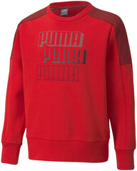 Детский джемпер Puma Alpha Crew 589266 11/152, красный цена и информация | Свитеры, жилетки, пиджаки для мальчиков | 220.lv