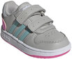 Adidas Apavi Hoops 2.0 Cmf I Grey H01554/6.5K cena un informācija | Sporta apavi bērniem | 220.lv