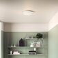 Philips LED griestu lampa myLiving Cinnabar, balta цена и информация | Griestu lampas | 220.lv