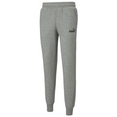 Спортивные штаны мужские Puma Essentials Logo Pants M 586714 03, серые цена и информация | Мужская спортивная одежда | 220.lv