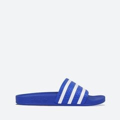 Vīriešu iešļūcenes Adidas Adilette Slides M FX5834, zilas cena un informācija | Vīriešu iešļūcenes, čības, sandales | 220.lv