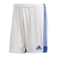 Šorti vīriešiem Adidas Tastigo 19 Shorts M FI6355, balti cena un informācija | Vīriešu šorti | 220.lv