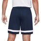 Sporta šorti vīriešiem Nike Dry Academy 21 M CW6107-451, zili cena un informācija | Sporta apģērbs vīriešiem | 220.lv