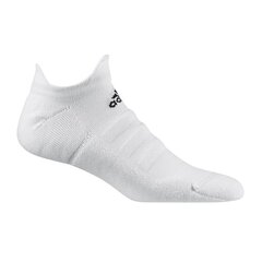 Vīriešu zeķes Adidas Alphaskin LC Ankle No-Show M CV7693, baltas cena un informācija | Vīriešu zeķes | 220.lv