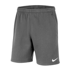 Шорты для мальчиков Nike Park 20 Fleece Jr CW6932 071, серые цена и информация | Шорты для мальчиков | 220.lv