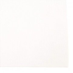 Dekoratīvs filcs 2 mm, 10x10 cm, krāsa balta cena un informācija | Filcēšanas piederumi | 220.lv