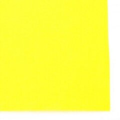 Декоративный фетр 2 мм, 20x30 см, цвет 385 цена и информация | Принадлежности для валяния | 220.lv