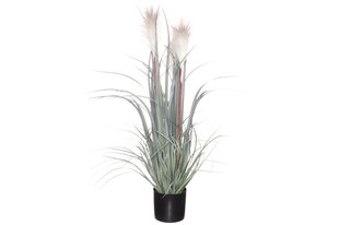 4Living искусственное растение Тростник, 81 см цена и информация | Искусственный букет DKD Home Decor, 2 шт | 220.lv