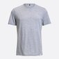 T-krekls SMP24015, pelēks cena un informācija | Vīriešu T-krekli | 220.lv