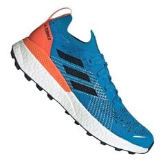 Vīriešu pārgājienu zābaki, Adidas Terrex Two Ultra Parley M EF2134 zili cena un informācija | Vīriešu kurpes, zābaki | 220.lv