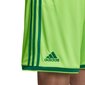 Vīriešu sporta šorti Adidas Regista 18 Short M CF9598 cena un informācija | Sporta apģērbs vīriešiem | 220.lv