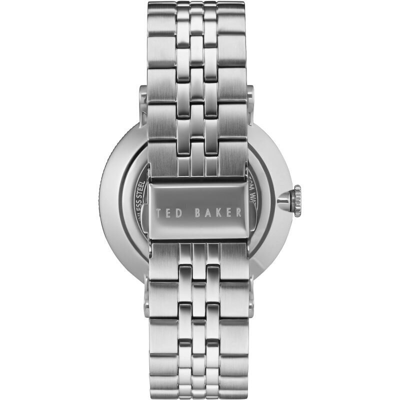 Vīriešu pulkstenis Ted Baker 10031511 cena un informācija | Vīriešu pulksteņi | 220.lv