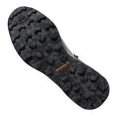 Туристическая обувь для мужчин, Adidas Terrex Skychaser LT Mid GTX M FW9597 графит цена и информация | Мужские ботинки | 220.lv