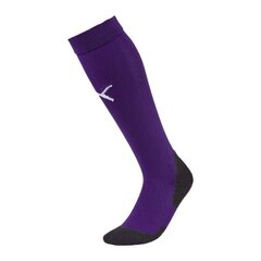 Футбольные носки для мужчин Puma Football LIGA Socks M 703441-10 цена и информация | Мужские носки, чёрные | 220.lv