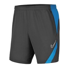 Sporta šorti bērniem Nike Dry Academy Pro Jr BV6946- 066 (58329) цена и информация | Шорты для мальчиков | 220.lv