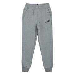 Sporta bikses meitenēm Puma ESS Logo Pants TR Junior 586974 03, pelēkas cena un informācija | Bikses meitenēm | 220.lv