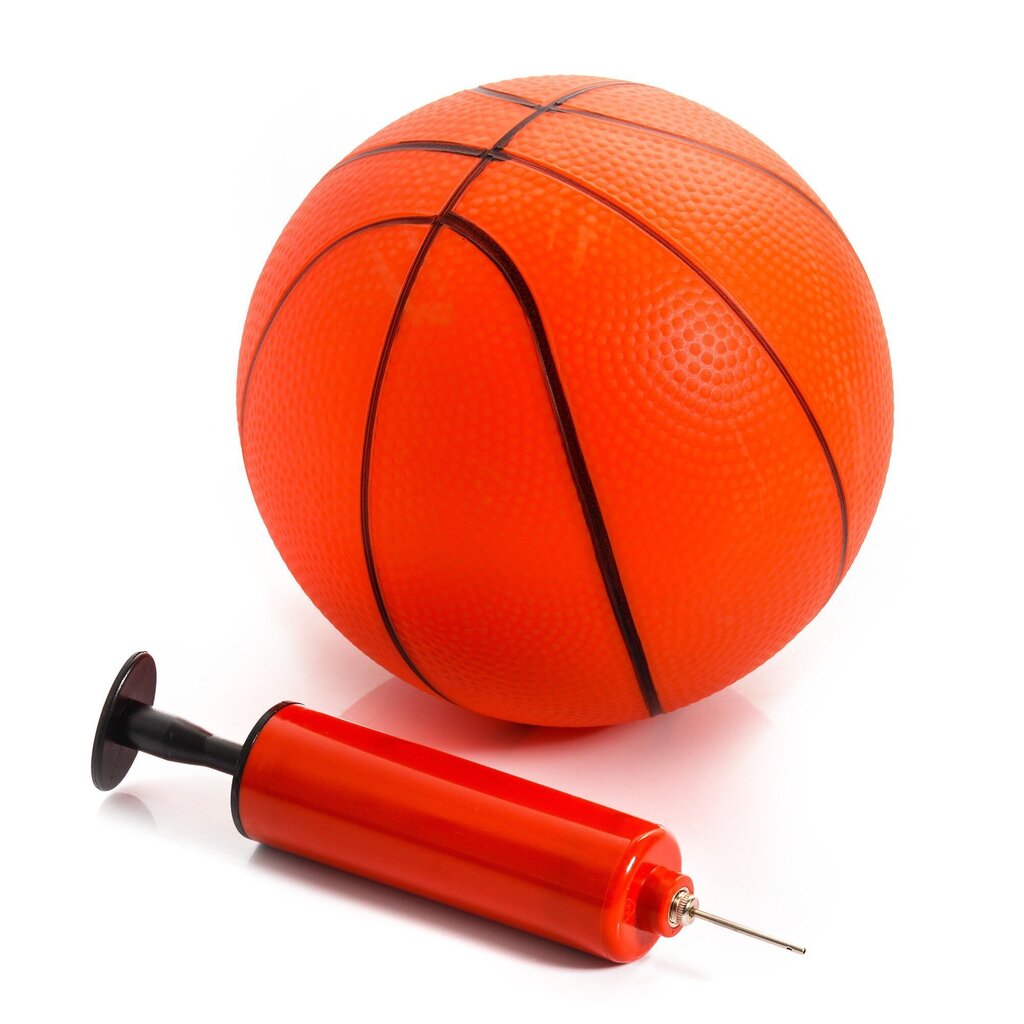 Basketbola statīvs Meteor Toronto цена и информация | Basketbola statīvi | 220.lv