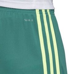 Спортивные шорты мужские Adidas M Tastigo 19, зеленые цена и информация | Мужская спортивная одежда | 220.lv