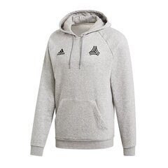 Мужской джемпер, Adidas Tango Graphic Sweat Hoody M DP2690, серый цена и информация | Мужские толстовки | 220.lv