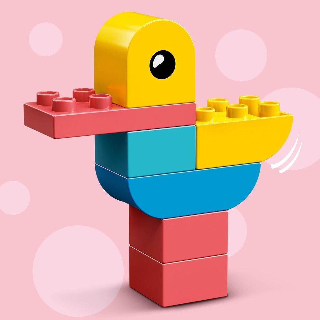 10909 LEGO® DUPLO Sirds formas kaste цена и информация | Konstruktori | 220.lv