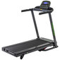 Tunturi Cardio Fit T35 Treadmill skrejceliņš цена и информация | Skrejceliņi | 220.lv