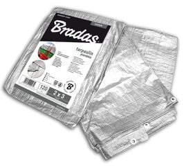 Ūdensnecaurlaidīgs brezents/ tents 120 g/m² 4 х 5 m, sudrabs cena un informācija | Dārza instrumenti | 220.lv