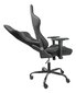 Spēļu krēsls Deltaco GAM-096, melns цена и информация | Biroja krēsli | 220.lv
