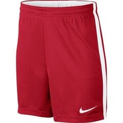 Мужские спортивные шорты Nike Dry Academy KM JR 832901 657, красные цена и информация | Мужская спортивная одежда | 220.lv