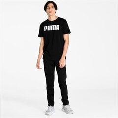 Krekls vīriešiem Puma, melns цена и информация | Мужские футболки | 220.lv