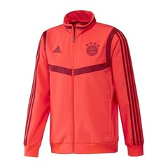 Džemperis vīriešiem Adidas Bayern Munich Presentation 19/20 M DX9178 (48555) cena un informācija | Vīriešu jakas | 220.lv