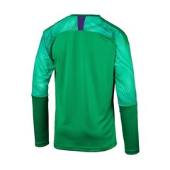 Джемпер Puma CUP GK LS M 703771-43, 50835 цена и информация | Мужские толстовки | 220.lv