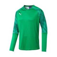 Džemperis Puma CUP GK LS M 703771-43, 50835 cena un informācija | Vīriešu jakas | 220.lv