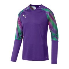 Džemperis vīriešiem Puma CUP GK LS M 703771-40 (51381), violets cena un informācija | Vīriešu jakas | 220.lv